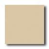 American Olean Bright 6 X 6 Taupe Mist Tile & Face with ~