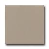 American Olean Bright 6 X 6 Mushroom Tile & Stone