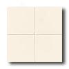 American Olean Cache 6 X 6 Matte Biscuit Tile & Stone