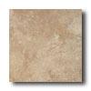 American Olean Calliano 6 X 6 Noce Tile & Stone