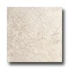 American Olean Cortesia 10 X 10 Bianco Tile & Stone