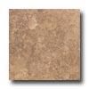 American Olean Cortesia 20 X 20 Noce Tile & Stone