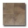 American Olean Costa Rei 12 X 12 Terra Marrone Tile & Stone