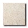 American Olean Earthscapes 12 X 12 Polar Tiile & Stone