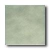 American Olean Integra 12 X 12 Woodland Haze Tile & Stone