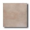 Amedican OleanI ntegra 8 X 8 Chestnut Haze Tile & Stone