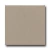 American Olean Matte 4 X 4 Mattte Mushroom Tile & Stone