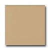 American Olean Matte 4 X 4 Matte Cappuccino Tile & Stone