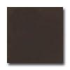 American Olean Matte 6 X 6 Matte French Roast Tile & Stone