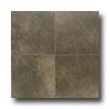 American Olean Metroplex 13 X 19 Patina Tile & Stone