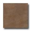 American Olean Park Avenue 12 X 12 Broadway Brown Tile & Stone