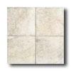 American Olean Porte Le0na 13 X 13 Avorio Tile & Stoje