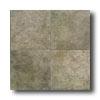 American Olean Porte Leona 18 X 18 Verde Tile & Stone