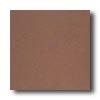 American Olran Quarry Naturals 4 X 8 Lava Red Tile & Stone