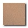 American Olean Quarry Naturals Abrasive 8 X 8 Desert Tile & Stone