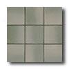 American Olean Quarry Naturals 4 X 8 Shadow Flash Tile & tSone