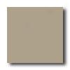 American Olean Quarry Tile Abrasive 4 X 8 Fawn Gray Tile & Stone