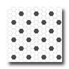 American Olean Satinglo Hexagon Mosaic Black/white 8401 Tile & Grave~