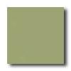 American Olean Satinglo Mosaic Satin Olive Tile & Stone