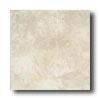 American Olean Serramonte 6 X 6 Whitecap Tile & Stone