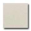 American Olean St Germain 6 X 24 Blanc Tile & Stone