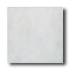 Americqn Olean Subtle Steps Ii 8 X 8 Smoke Tile & Stone