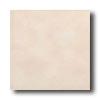 American Olean Subtle Steps Ii 8 X 8 Tawny Beige Tile & Stone