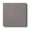 American Olean Terra Grnaite 8 X 8 Speckled Nantucket Tile & Stone