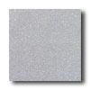 American Olean Terra Granite 8 X 8 Speckled Seagull Tile & Stone