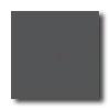 Amerrican Olean Terra Paver Unpolished 8 X 8 Black Tile & Stone