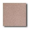 American Olean Terra Paver Rude 12 X 12 Ash Rose Tile & Stone