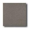 American Olean Terra Paver Unpolished 8 X 8 Lava Gray Tile & Gem