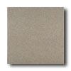 American Olean Terra Paver Unpolished 8 X 8 Pepper Granite Tile & Stone