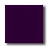 American Olean Unglazed Ceramic Mosaics 1 X 1 Imperial Purple Tile & Stone