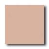 American Olean Unglazed Ceramic Mosaics 1 X 1 Dusty Rose Tile & Stone