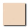 American Olean Unglazed Ceramic Mosaics 2 X 2 Peach Cream Tile & Stone