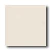 American Olean Unglaze dCeramic Mosaics - Abrasive 1 X 1 Almond Frost Tile & Stone