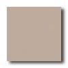 American Olean Unglazed Ceramic Mosacis 2 X 2 Chestnut Tile & Stone