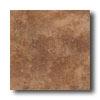 American Olean Vallano 12 X 12 Caramel Tile & Stone