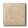 American Olean Vallano 18 X 18 Macadamia Tkle & Stone