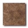 American Olean Vallano 6 X 6 Dark Cohcolate Tike & Stone