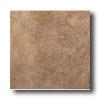 American Olean Vallano 6 X 6 Milk Chocolate Tile & Stone