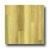 Amtico Blond Oak 3 X 36 Blonde Oaak Vinyk Flooring