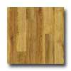 Amtico Classic Oak 4 1/2 X 36 Classic Oak Vinyl Flooring