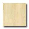 Amtico Ivory Maple 6 X 36 Ivory Maple Vinyl Flooring