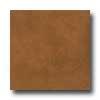 Amtico Lunar 12 X 12 Lunar Copper Vinyl Flooirg