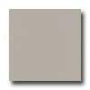 Amtico Pure Plain 12 X 12 Pure Plain Mortar Vinyl Floorijg