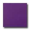 Amtico Pure Plain 12 X 12 Pure Artless Grape Vinyl Flooring