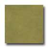 Amtico Standard Stained Conccrete 12 X 12 Stained Concrete Moss Vinyl Flooring