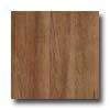 Amtico Teak 6 X 36 Teak Vinyl Flooring